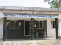 Breaking Update – पशु चिकित्सा अधिकारी निलंबित