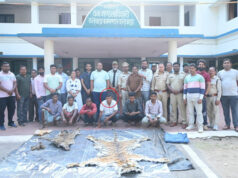 बाघ और तेंदुए के शिकार में शामिल डिप्टी रेंजर सहित 9 आरोपी गिरफ्तार- वन विभाग की बड़ी कार्यवाही