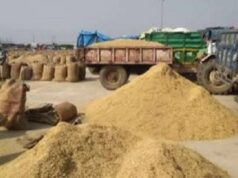 धान में रेत मिलाकर हेराफेरी करने वाला खरीदी केन्द्र प्रभारी बर्खास्त
