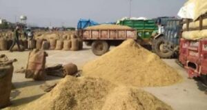 धान में रेत मिलाकर हेराफेरी करने वाला खरीदी केन्द्र प्रभारी बर्खास्त